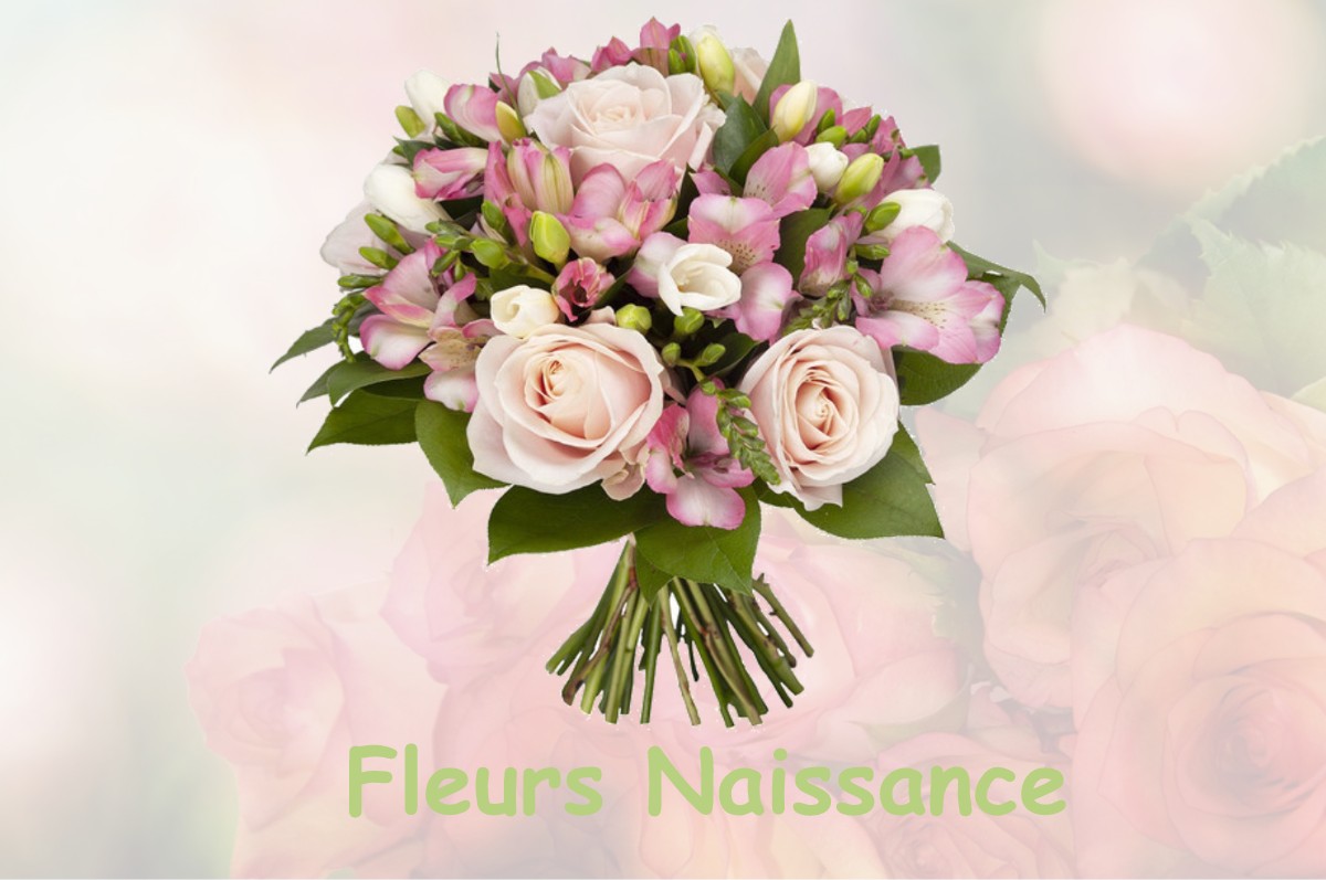 fleurs naissance EYGALIERES