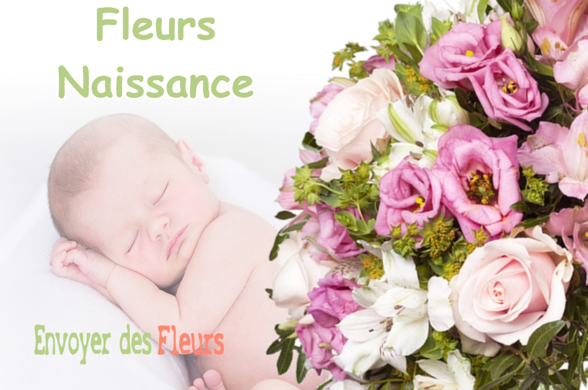 lIVRAISON FLEURS NAISSANCE à EYGALIERES